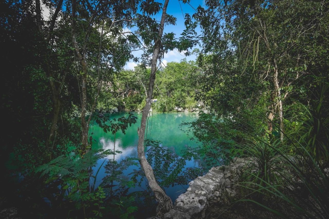 Wakax Hacienda - Cenote & Boutique Hotel 图卢姆 外观 照片